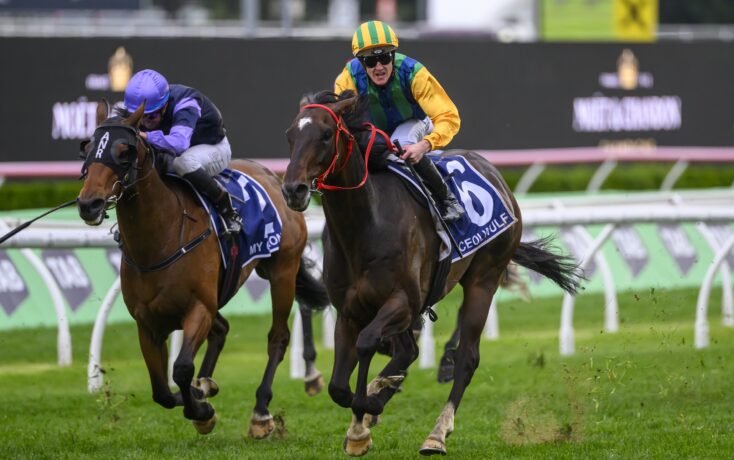 总结分析 总结分析