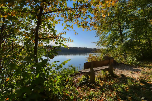 精神的精彩 精神的精彩