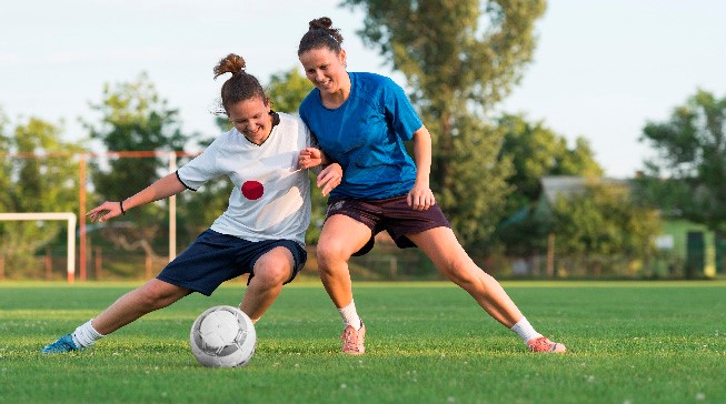 由此可見 由此可見